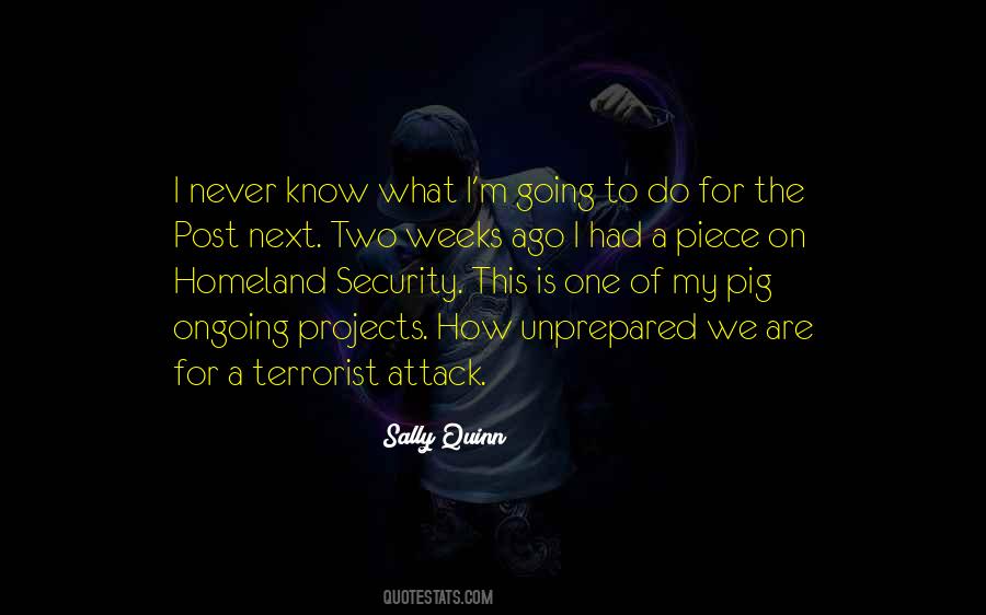Quotes On Post 9/11 Security #1777576