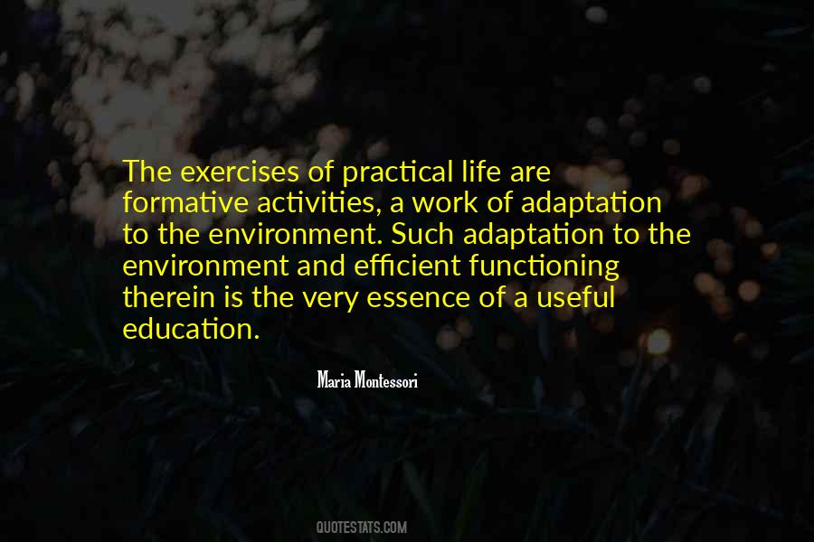 Quotes On Practical Life Exercises #382605
