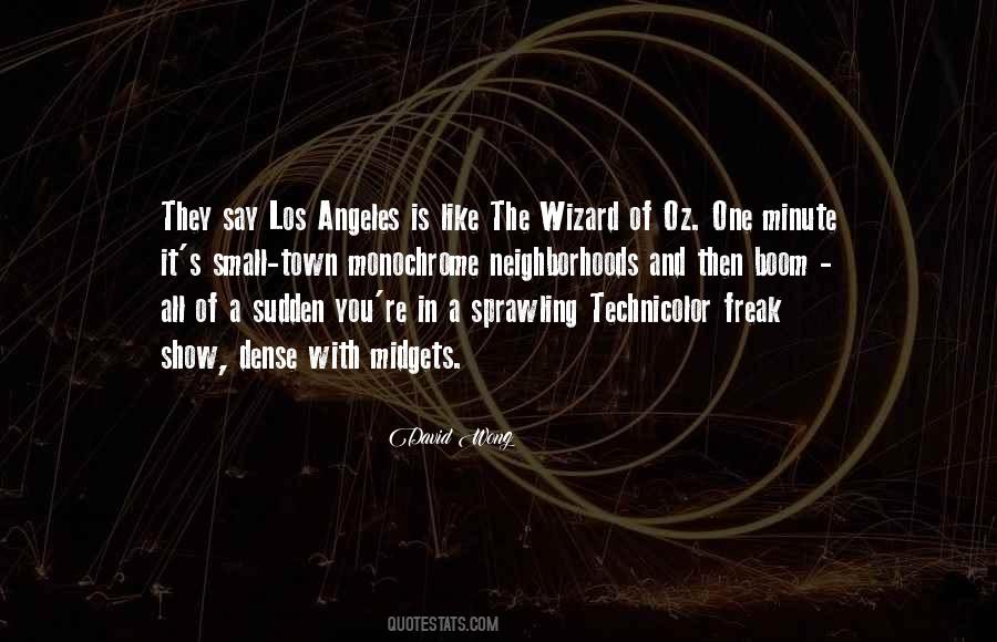 Wizard Of Oz Wizard Quotes #529861