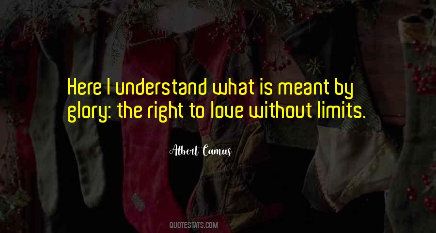 Love Understand Quotes #96536