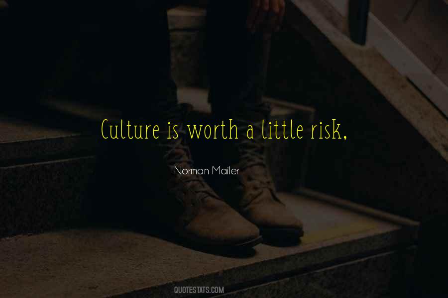 Quotes On Risk Culture #1107315