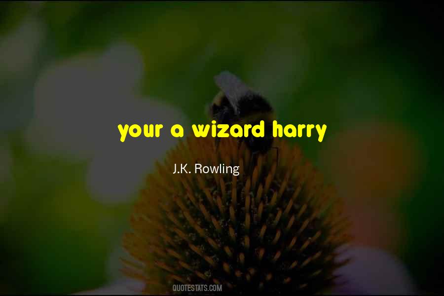 A Wizard Quotes #1099344