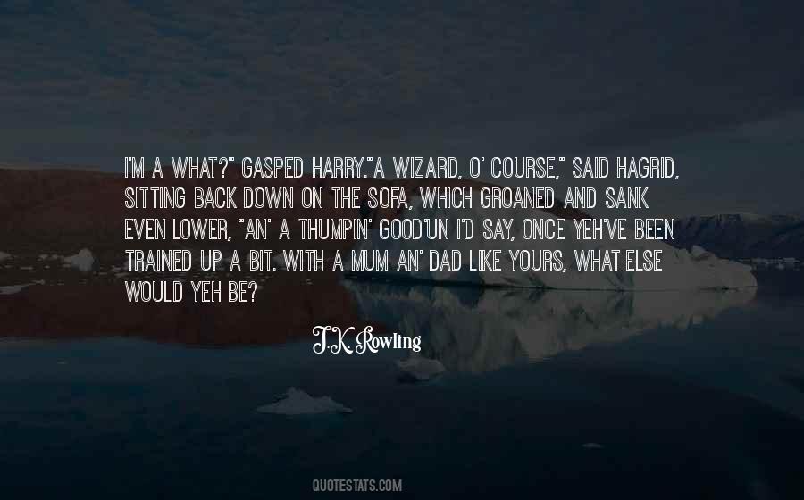 A Wizard Quotes #1513579