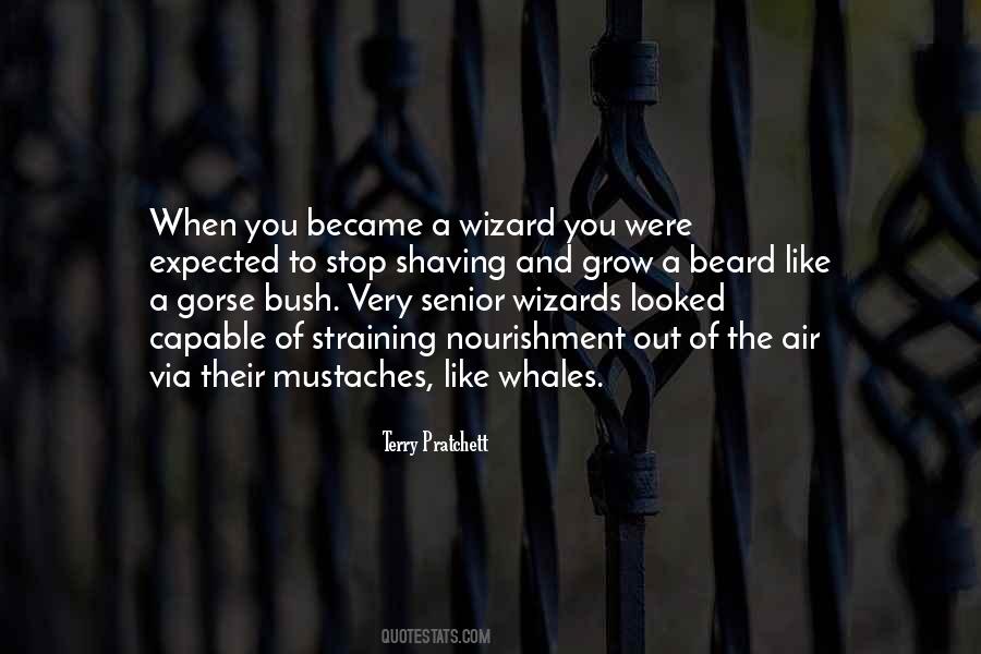 A Wizard Quotes #1625425