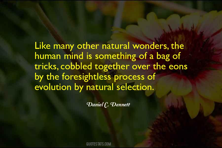 Quotes On Selection Process #511129