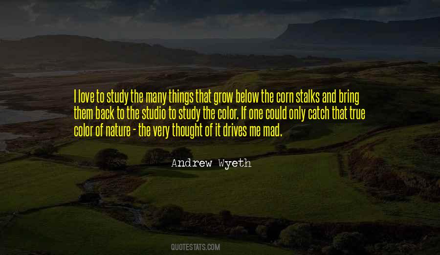 Nature Study Quotes #300909