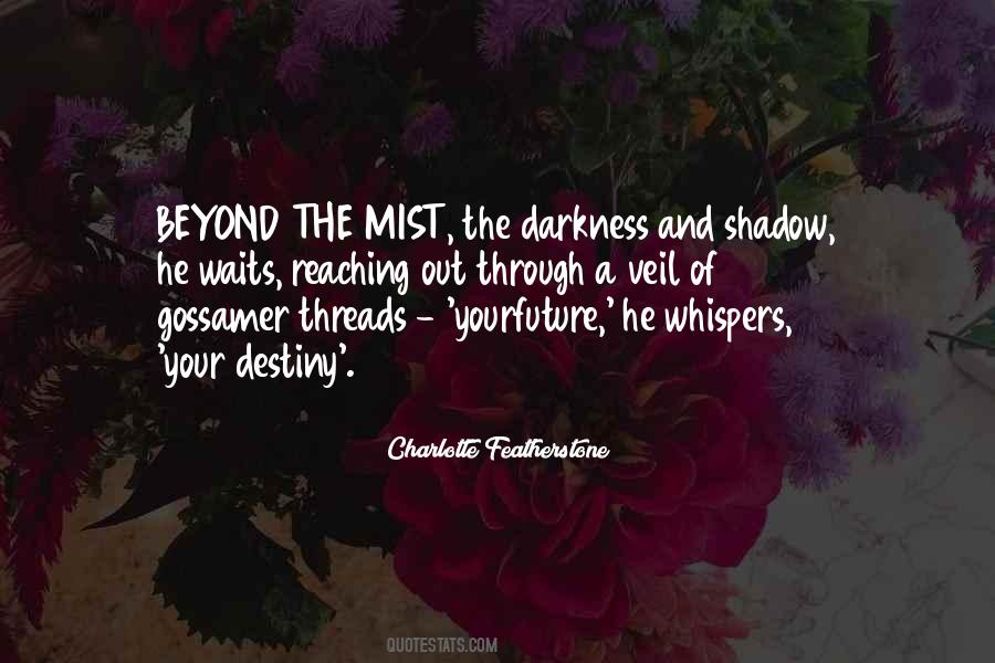 Quotes On Shadow And Darkness #1283354