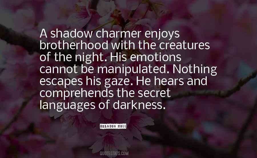 Quotes On Shadow And Darkness #689364