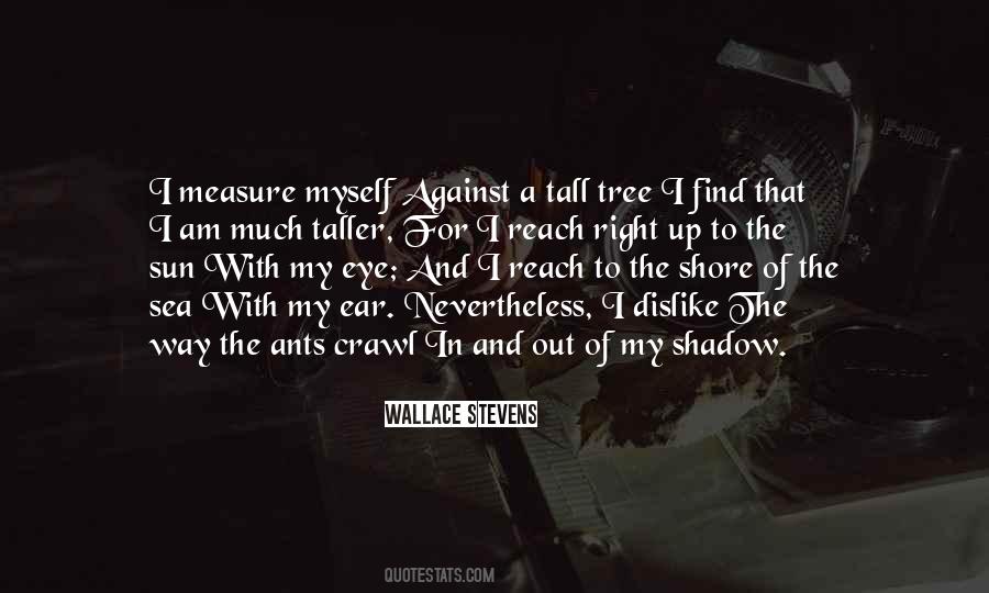 Quotes On Shadow And Sun #985494