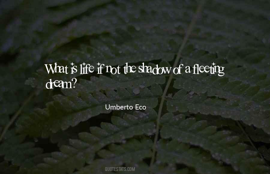 Quotes On Shadow Of Life #329138