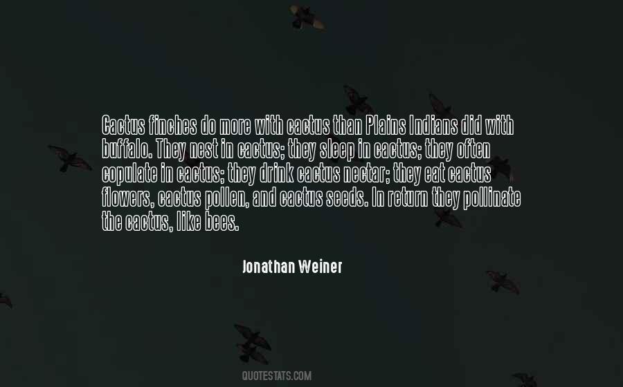 Like Nectar Quotes #312817