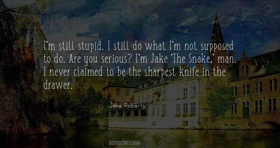 Not The Sharpest Knife In The Drawer Quotes #1448014