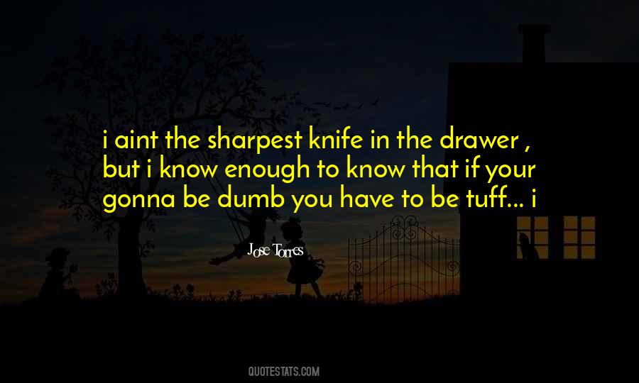 Not The Sharpest Knife In The Drawer Quotes #227981