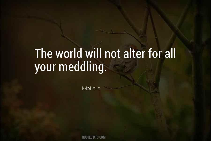 Quotes About Not Meddling #1089936