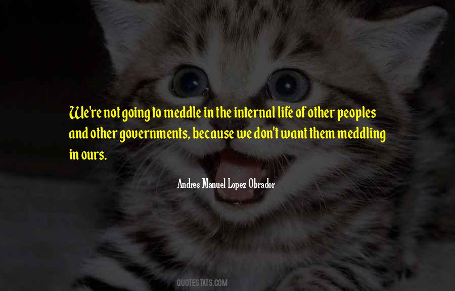 Quotes About Not Meddling #1228275