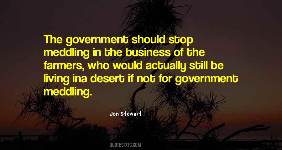 Quotes About Not Meddling #1277779
