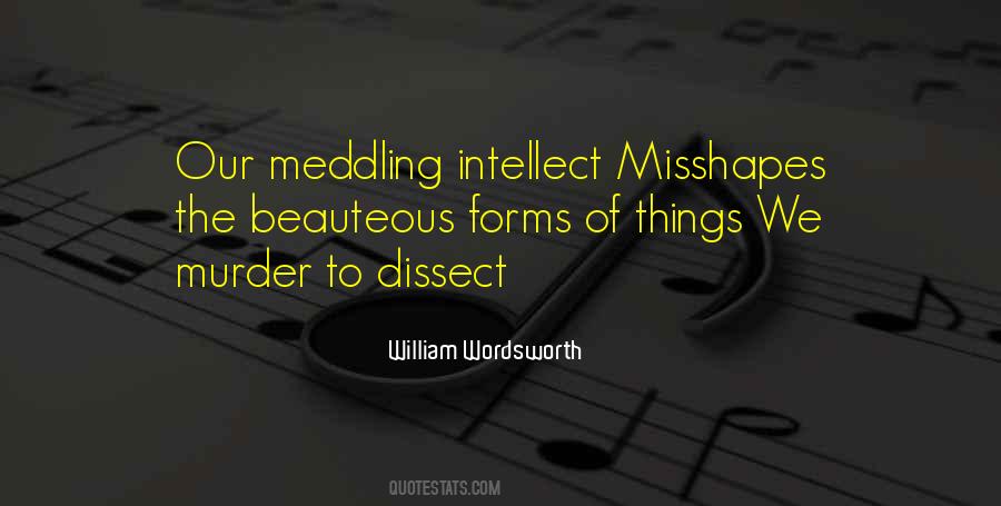 Quotes About Not Meddling #1321291