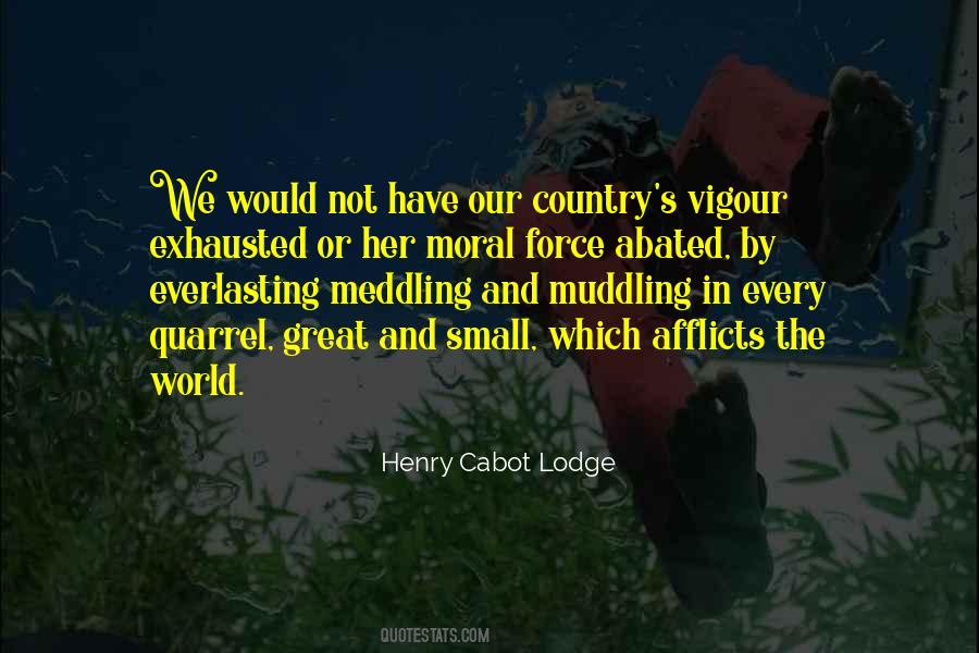 Quotes About Not Meddling #1379589