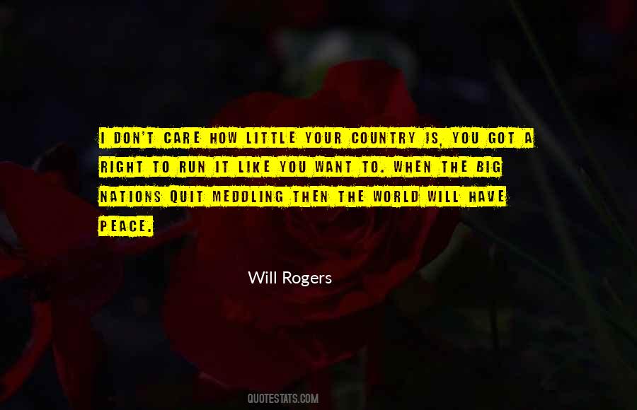 Quotes About Not Meddling #26805
