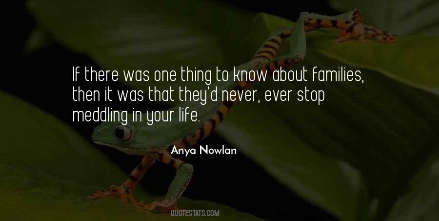 Quotes About Not Meddling #373420