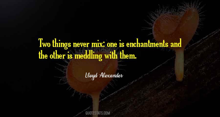 Quotes About Not Meddling #5227