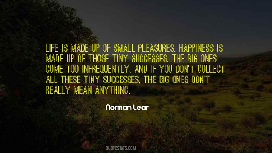 Quotes On Small Pleasures Of Life #268930