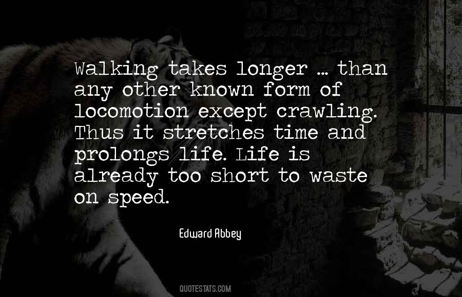 Life Is Too Short To Waste Quotes #503477