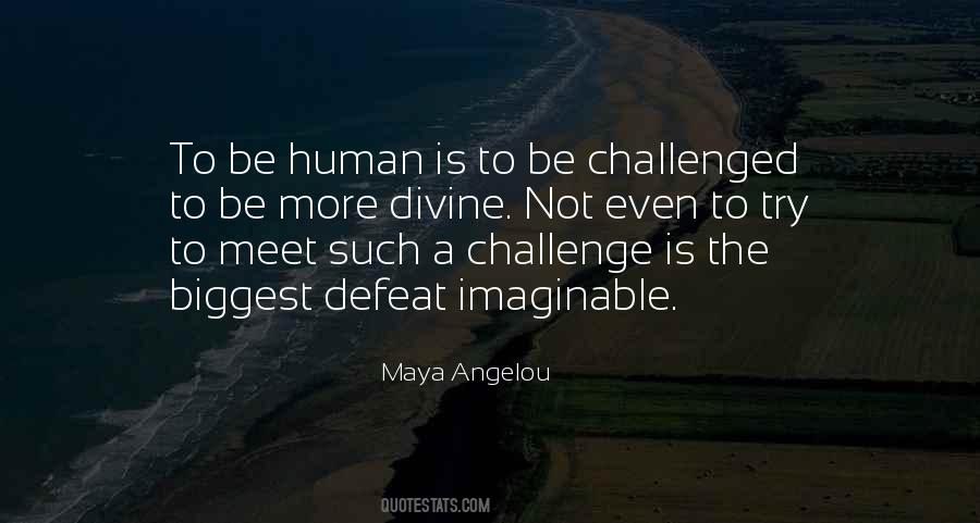 Be Challenged Quotes #1128165