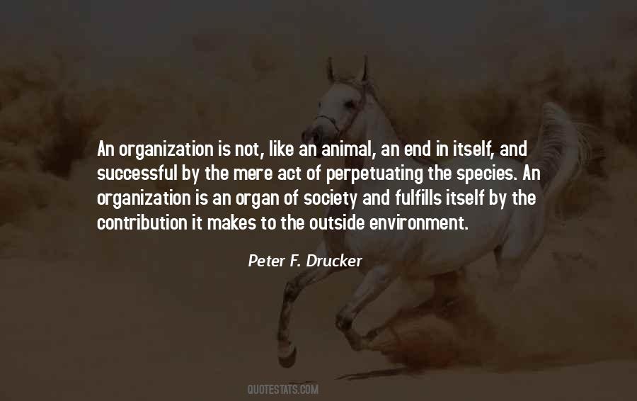 Quotes On Successful Organization #694579