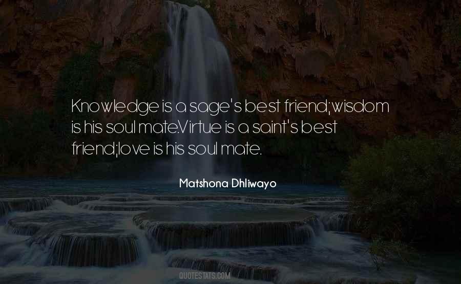 Soul Mate Love Quotes #453288