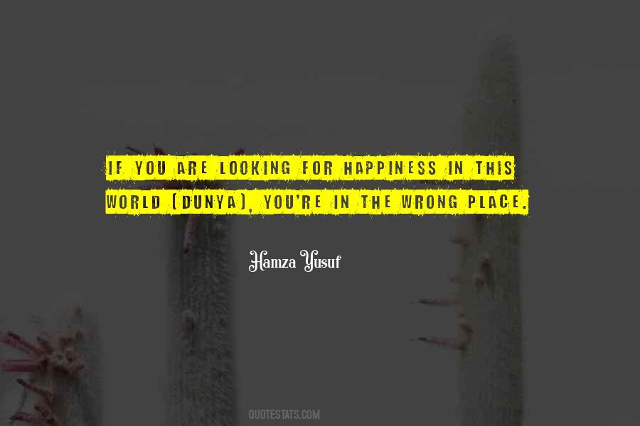 Quotes About Not Looking For Happiness #196749