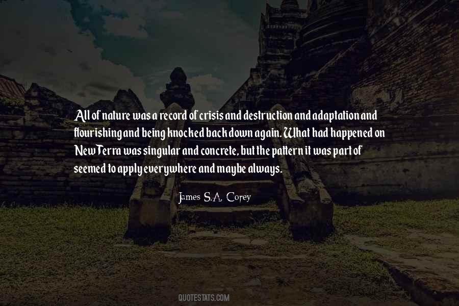 Record Of Life Quotes #564215