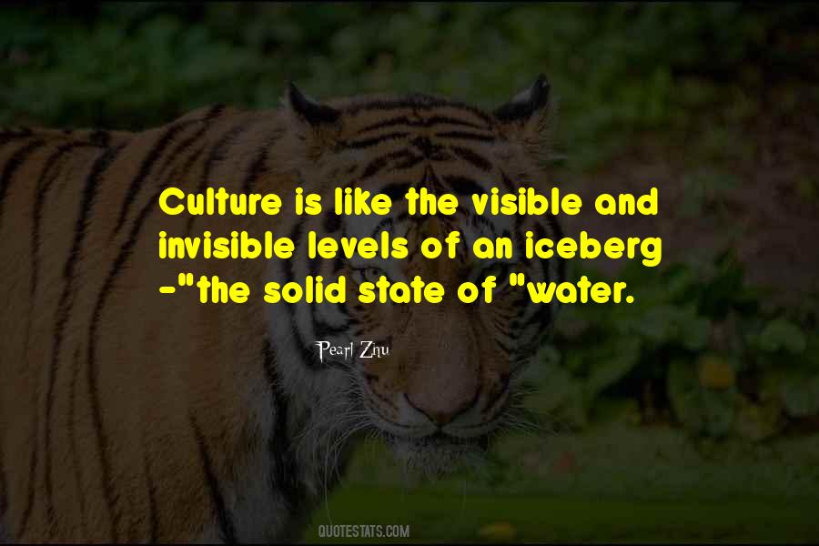 Quotes On Visible And Invisible #156110