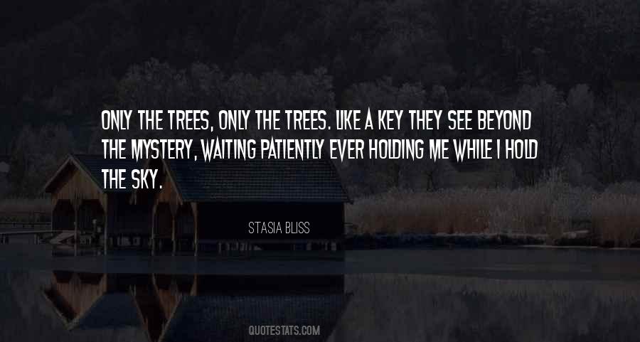 Quotes On Waiting Patiently #1173427