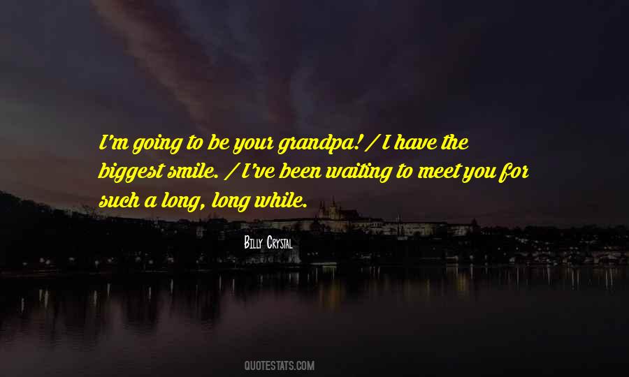 Quotes On Waiting To Meet You #1539922