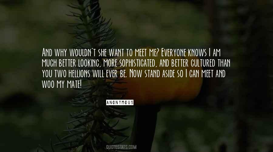 Quotes On Want To Meet #349053