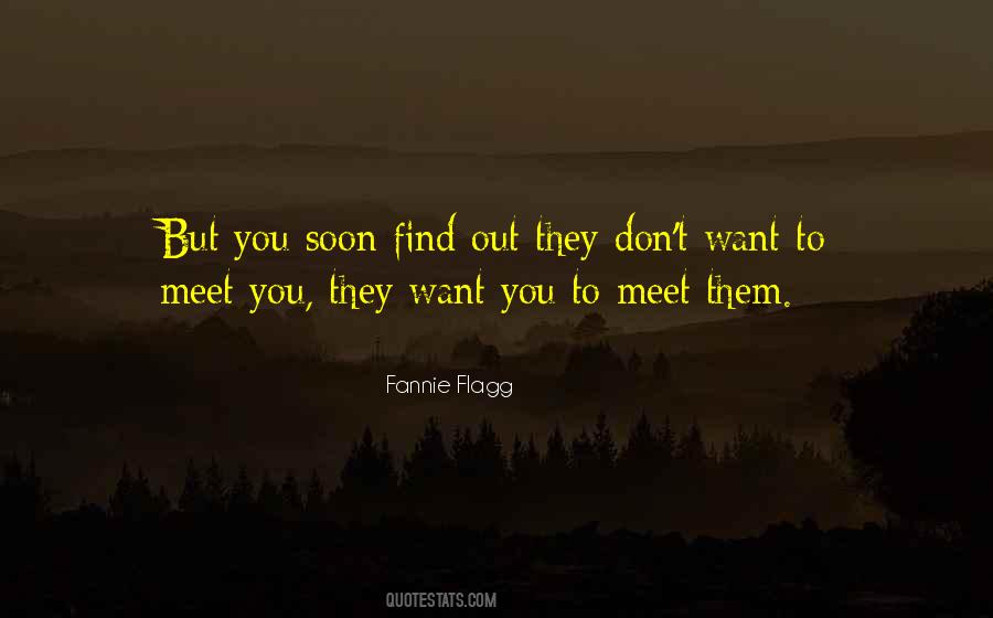 Quotes On Want To Meet #501966