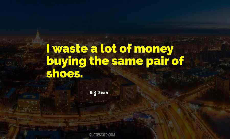 Quotes On Waste Of Money #1820038