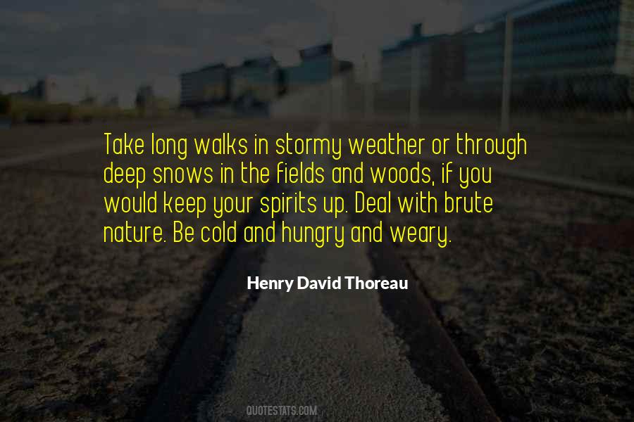 Quotes On Weather Cold #339059