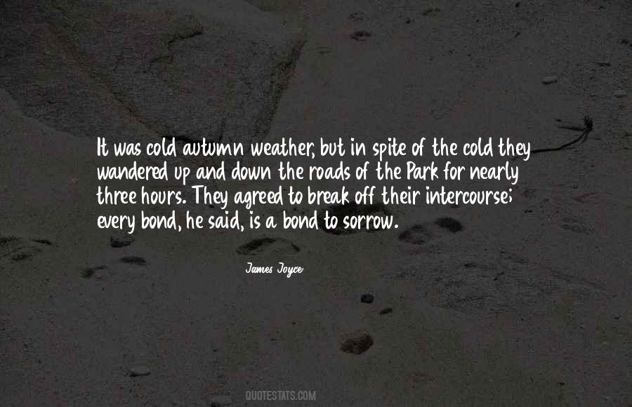 Quotes On Weather Cold #354130