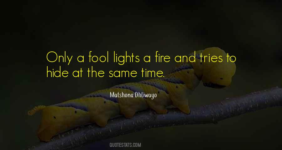 Fire Lights Quotes #232407