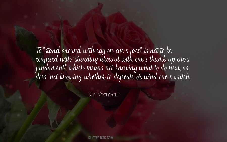 Quotes About Not Knowing What To Do Next #1184643