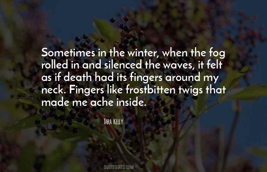 Quotes On Winter Fog #97044