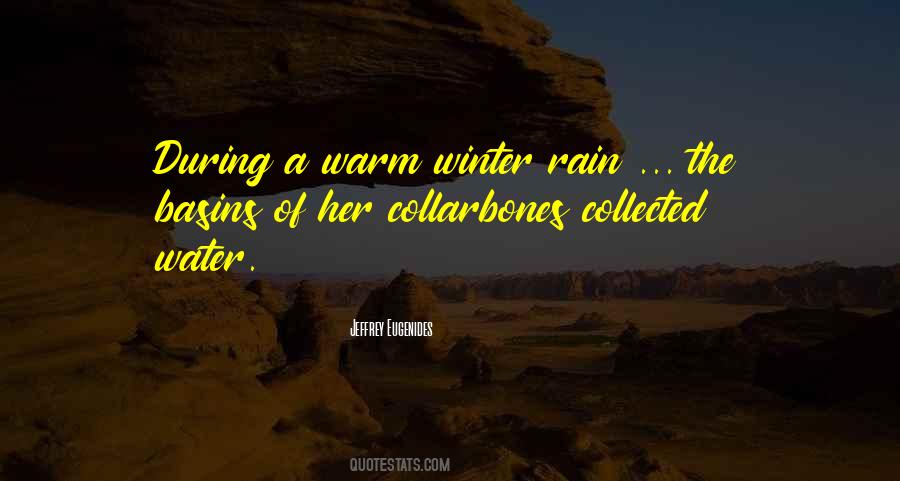 Quotes On Winter Rain #38545