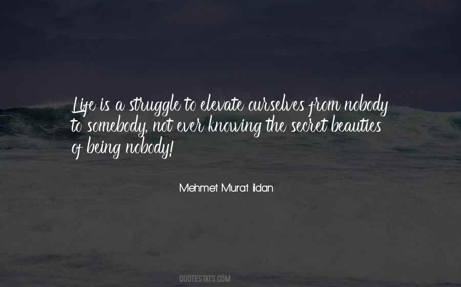 Being Nobody Quotes #890292