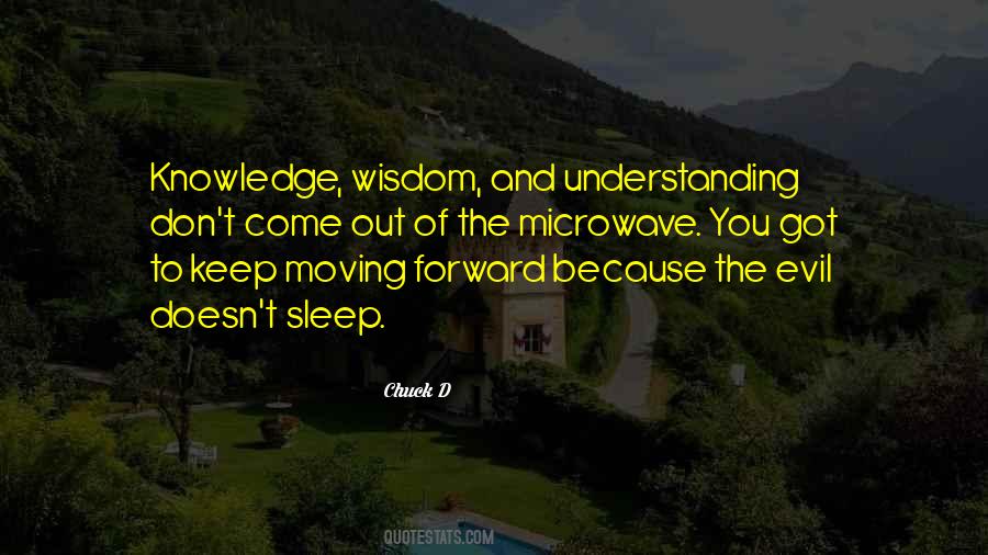 Quotes On Wisdom And Understanding #621919