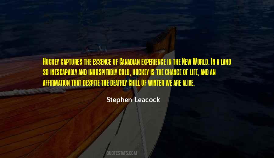 The New Land Quotes #405558
