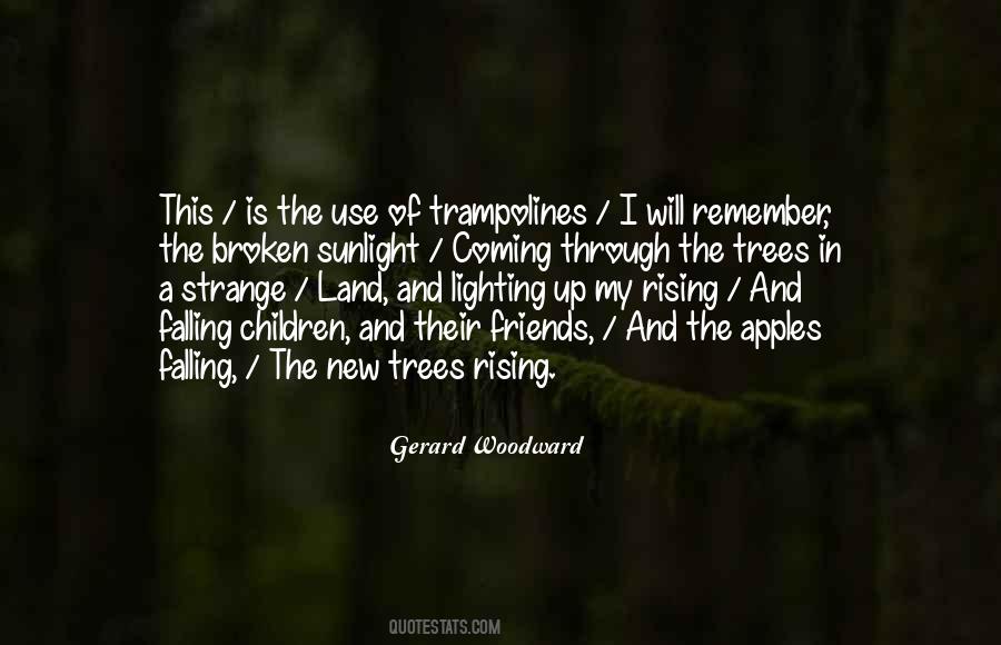 The New Land Quotes #477631