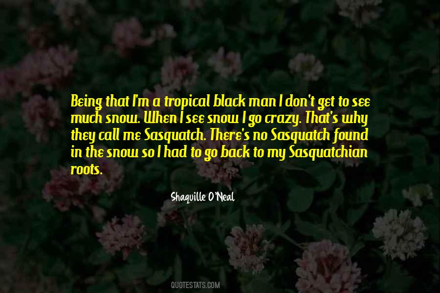 Back To The Roots Quotes #1684721