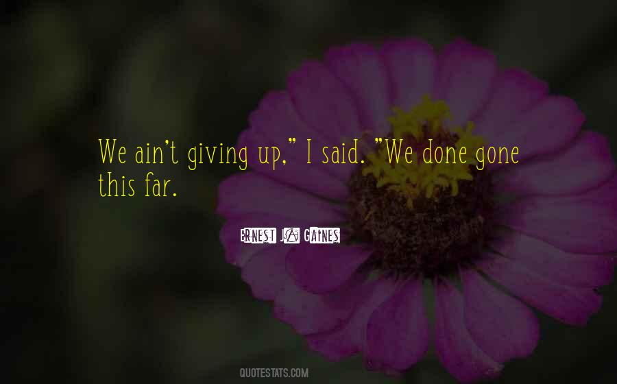 Cutely Suspicious Walkthrough Quotes #126671